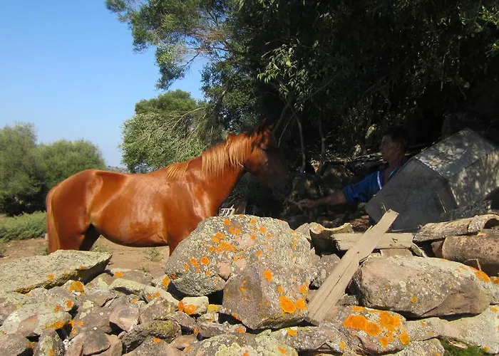 Genna E Corte Laconi